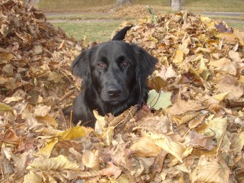 d5b1d4ca03daae300e7002411994a588